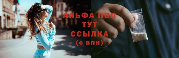 сатива Абаза