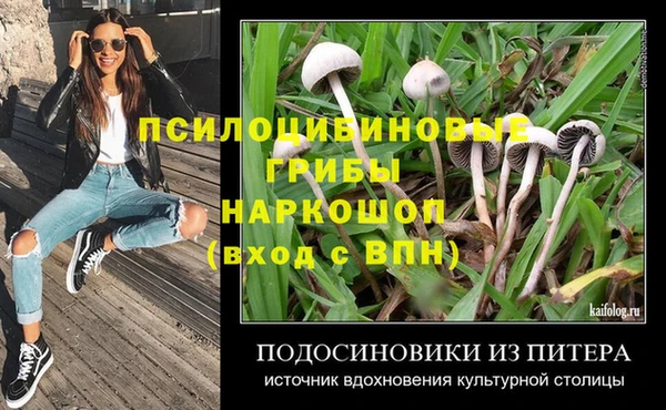 ешки Абинск