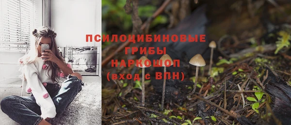 ешки Абинск