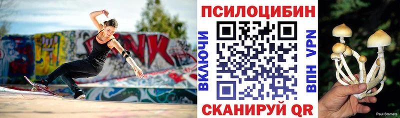 Псилоцибиновые грибы ЛСД  даркнет телеграм  Электросталь  ОМГ ОМГ как зайти 