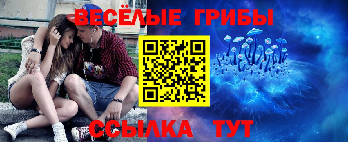 Галлюциногенные грибы Psilocybe  Вход с VPN  Электросталь 