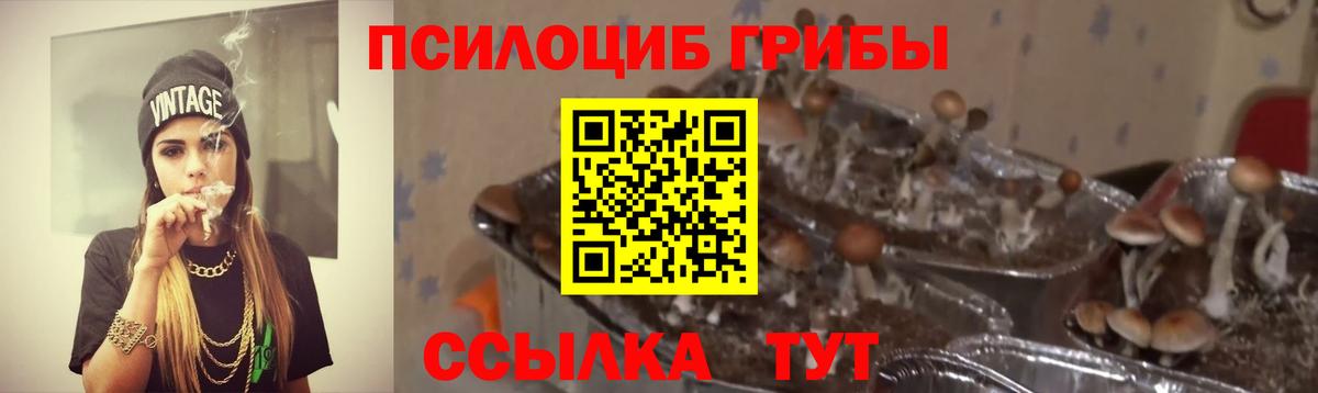 Псилоцибиновые грибы мухоморы Электросталь